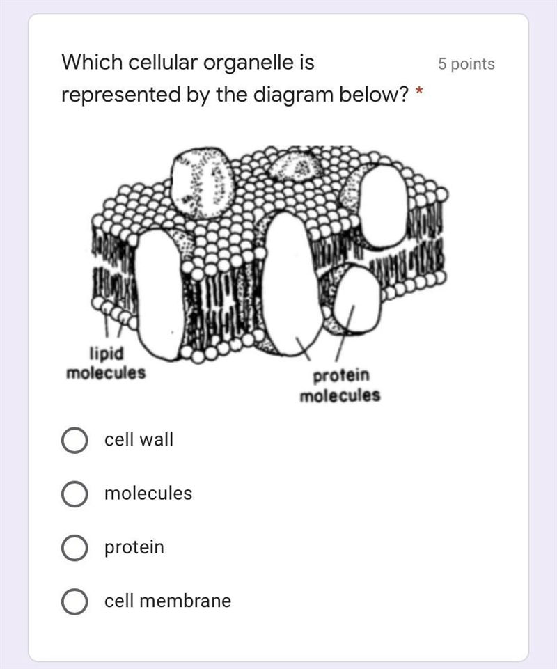 What organism is this-example-1