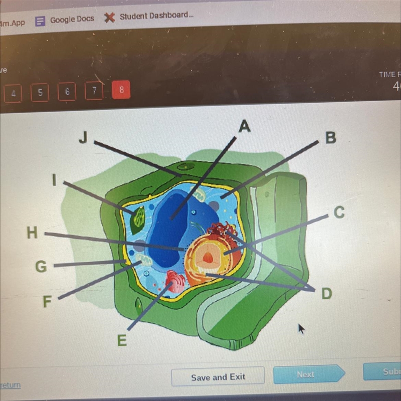 Which organelle is labeled G???-example-1