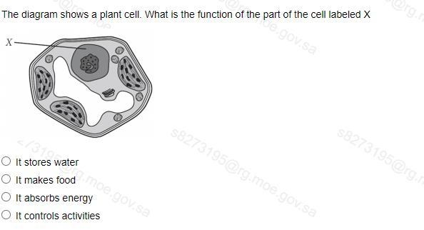 The question is on the attachment-example-1