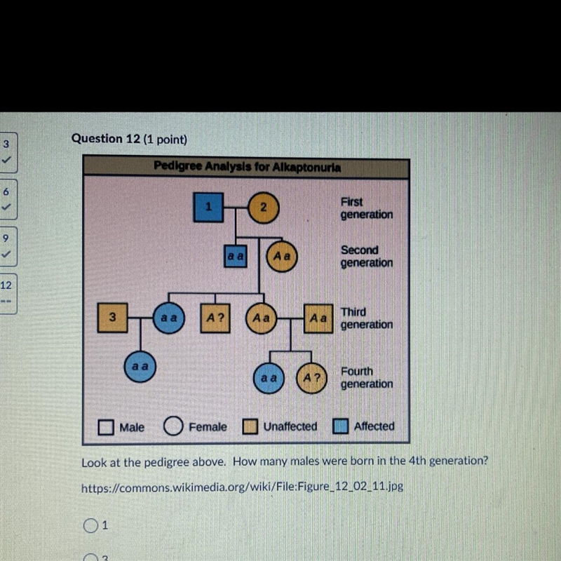 I need help please ?!!!!-example-1