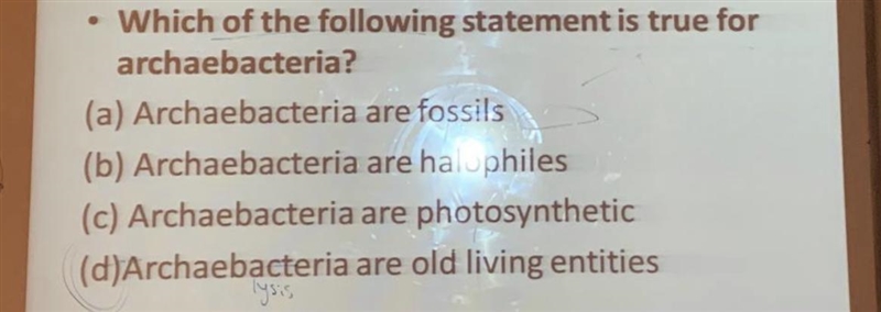 Help which of these multiple choices are correct?-example-1