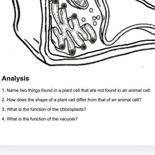 1. Name two things found in a plant cell that are not found in an animal cell: 2. How-example-1