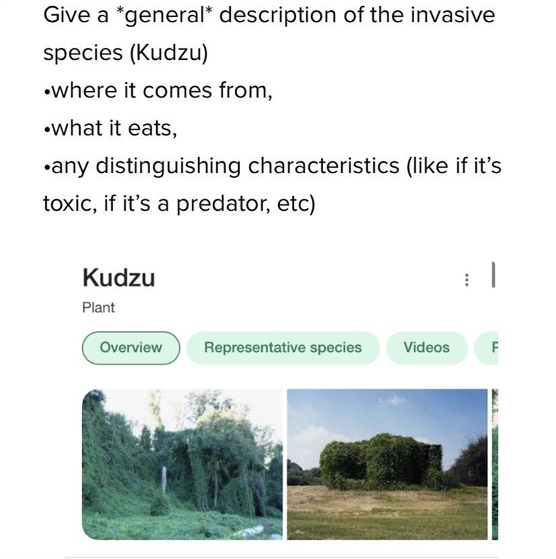 I need help with this practice Give a general description of Kudzu If you do not know-example-1