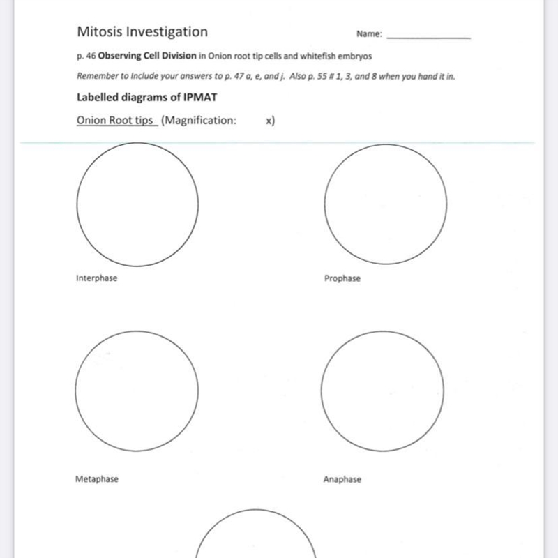 I need help I’m kinda confused about this worksheet Magnification-example-1