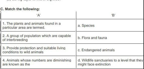 Match the following ​-example-1