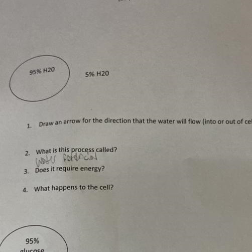 Help please just put 1 thought 4 thank you-example-1