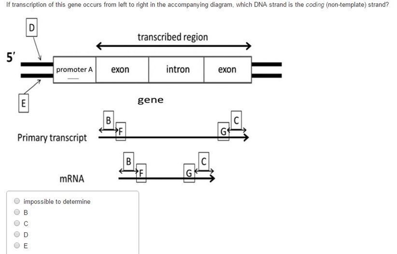 If transcription of this gene occurs from left to right in the accompanying diagram-example-1