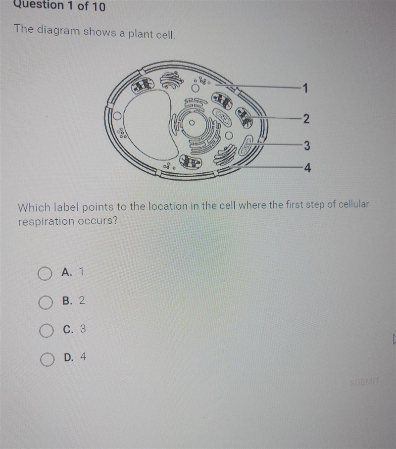 Question 1 of 10 The diagram shows a plant cell. 1 2 3 4 Which label points to the-example-1