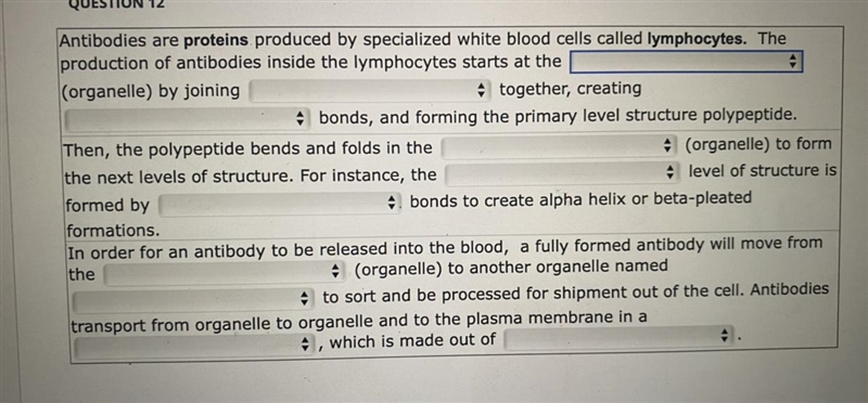 Antibodies are proteins produced by specialized white blood cells called lymphocytes-example-1