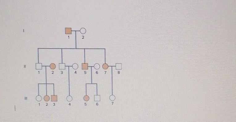 in the following pedigree, is the disorder's mode of inheritance autosomal dominant-example-1