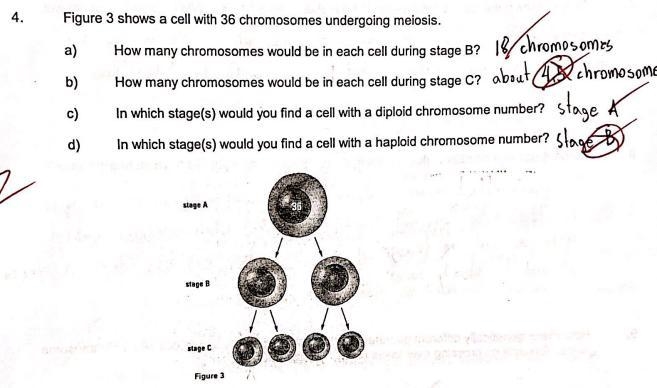 Hello I just got my test results back I want to know how to do b and d correctly.-example-1