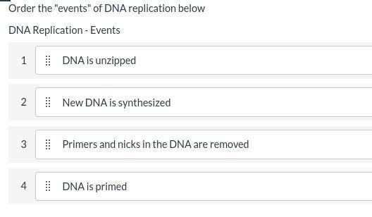 Order the "events" of DNA replication belowTop label: DNA Replication - EventsDNA-example-1