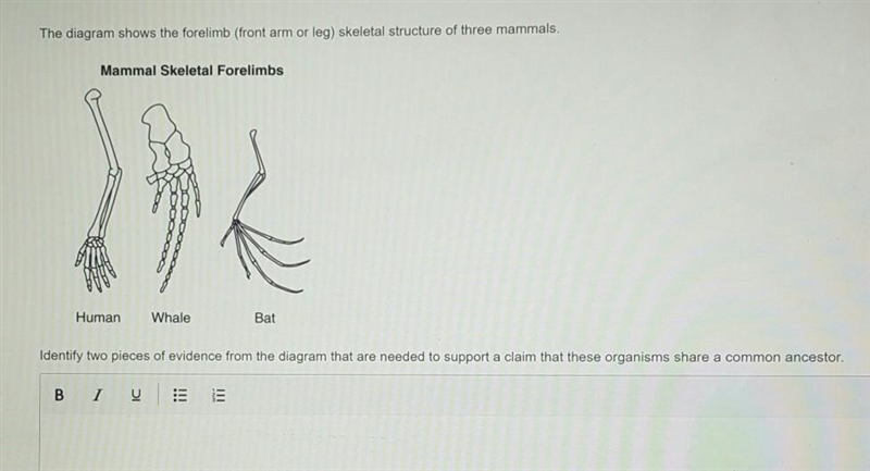 The diagram shows the forelimb (front arm or leg) skeletal structure of three mammals-example-1