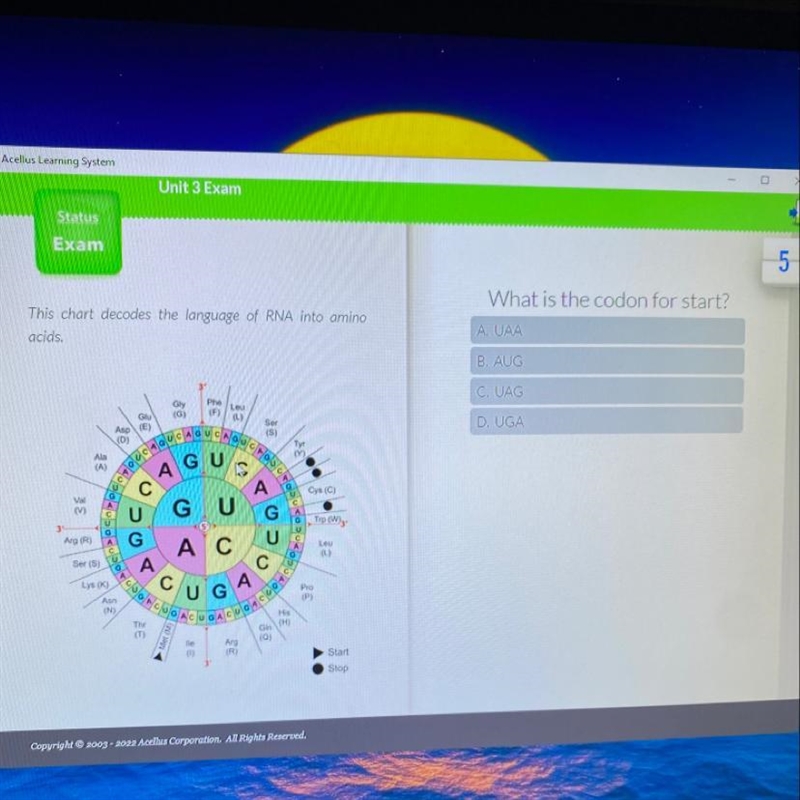 What is the codon for start? This chart decodes the language of RNA into amino acids-example-1
