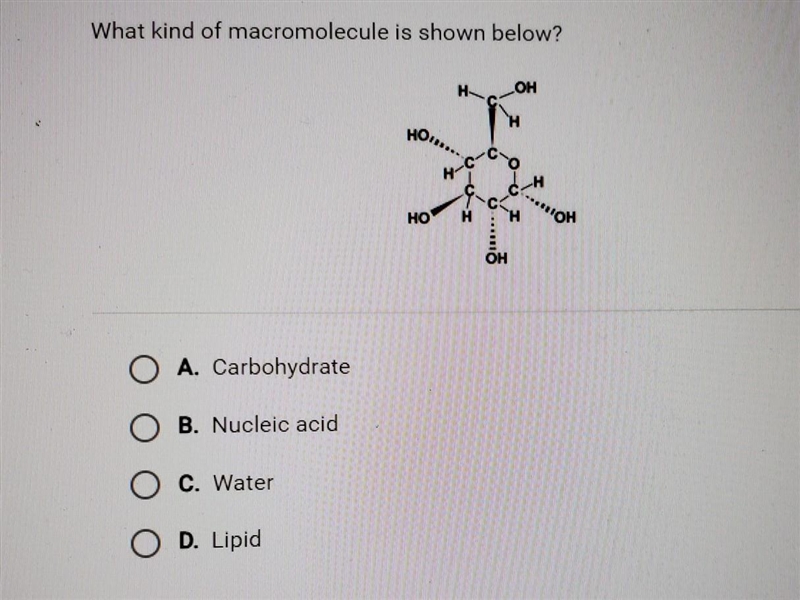 What kind of macromolecule is shown below? OA. Carbohydrate O B. Nucleic acid O C-example-1