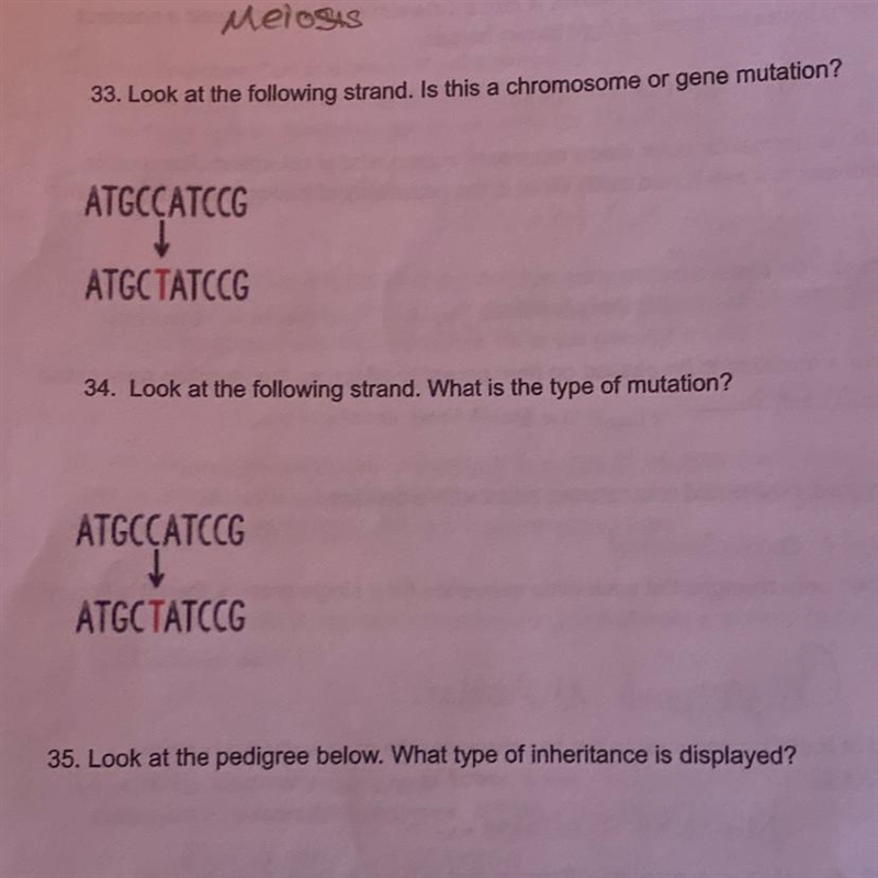 What would be the answers for 33-34? 33. Look at the following strand. Is this. Chromosome-example-1