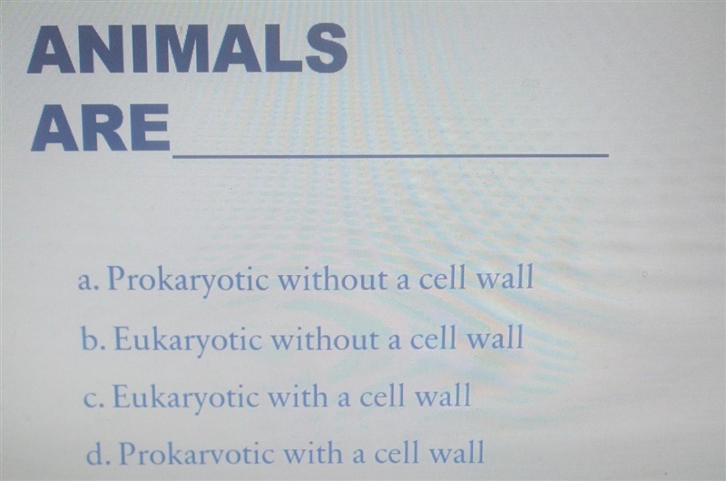 animals are a. Prokaryotic without a cell wall b. Eukaryotic without a cell wall c-example-1