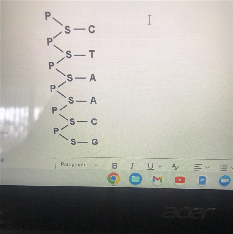 Question 2 (4 points) Draw in a complementary set of nucleotides on the right side-example-1