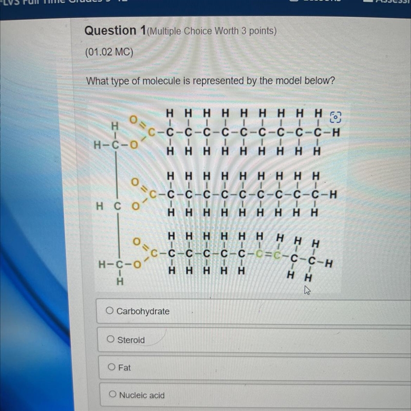 What type of molecule is represented by the model below? O Carbohydrate O Steroid-example-1