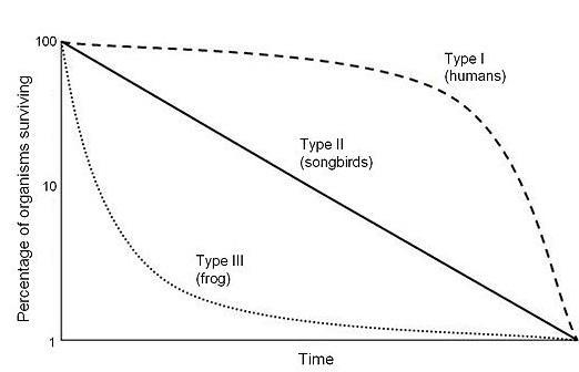 Examine the survivorship curve. According to the graph, which species will suffer-example-1