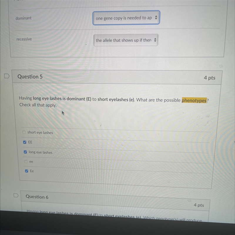 Long eyelashes is dominant E to short eyelashes e what are the possible phenotypes-example-1