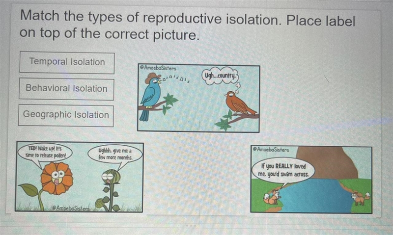 Match the types of reproductive isolation. Place labelon top of the correct picture-example-1