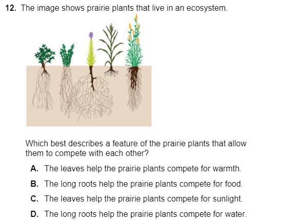 The image shows prairie plants that live in an ecosystem. Which best describes a feature-example-1