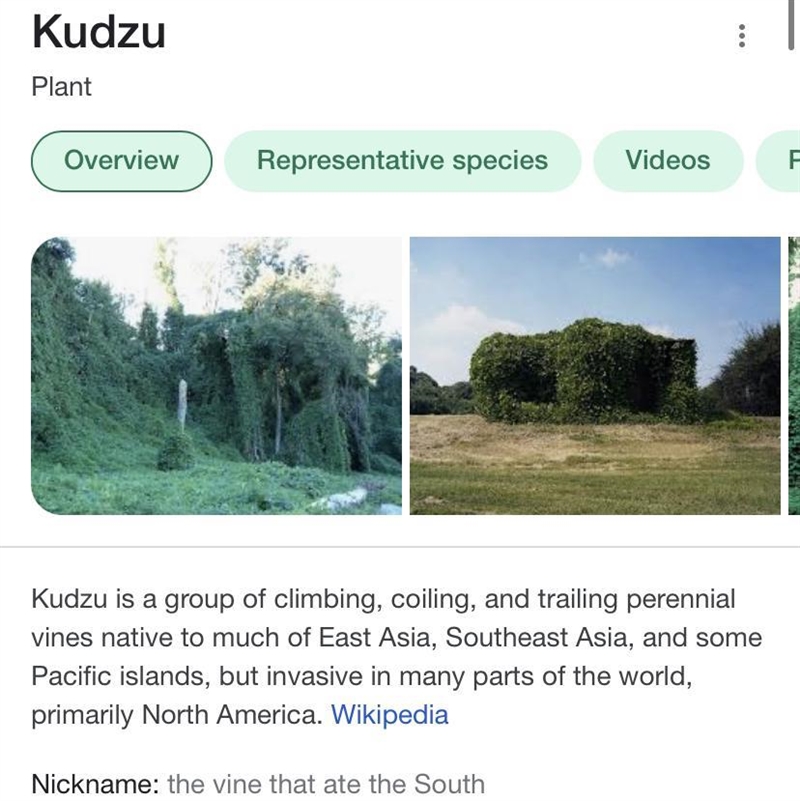 I need help with this practice What does Kudzu eat Explain In your own words*****Write-example-1