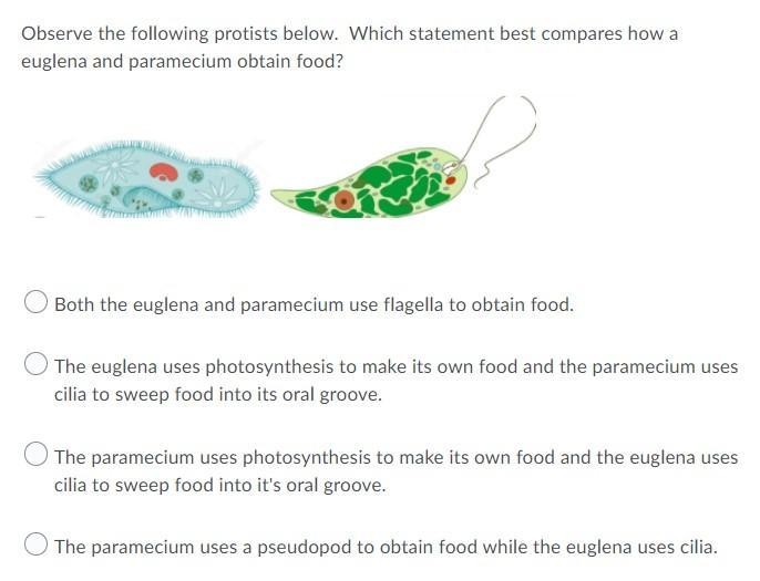 Observe the following protist below. Which statement best compares how Euglena and-example-1