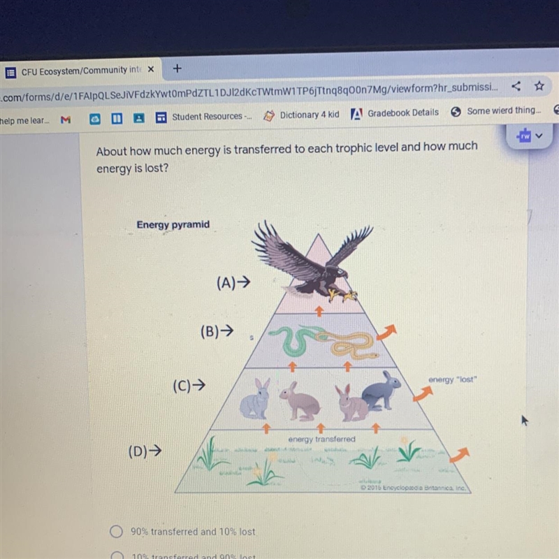 About how much energy is transferred to each trophic level and how much energy is-example-1