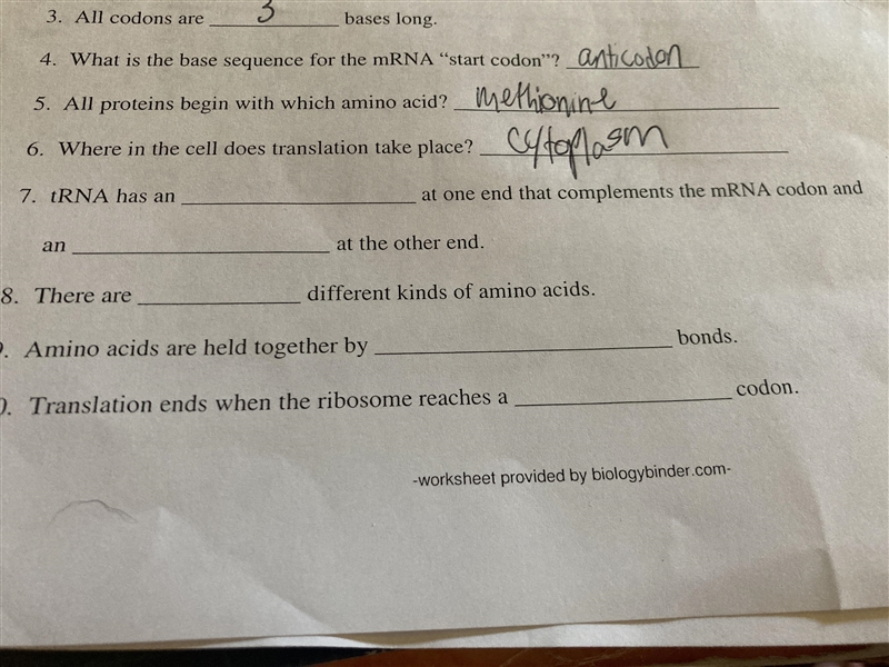 TRNA has an _____ at one end that compliments the mRNA codon and an _____ at the other-example-1