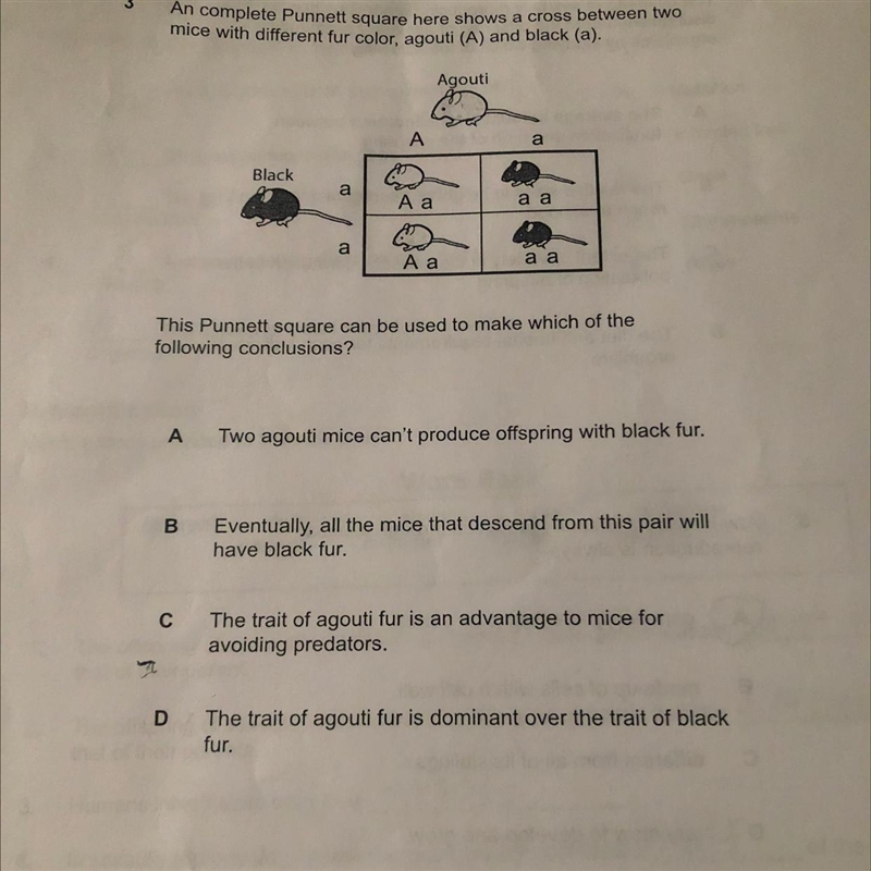 Help please thank you due today-example-1