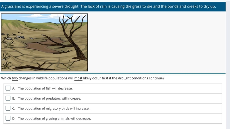 A grassland is experiencing a severe drought. The lack of rain is causing the grass-example-1