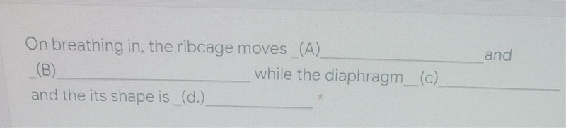 On breathing in, the ribcage moves ____________ and __________ while the diagram________ and-example-1