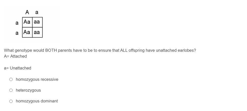 What genotype would BOTH parents have to be to ensure that ALL offspring have unattached-example-1