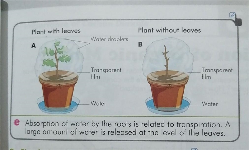 Write out the role of leaves​-example-1