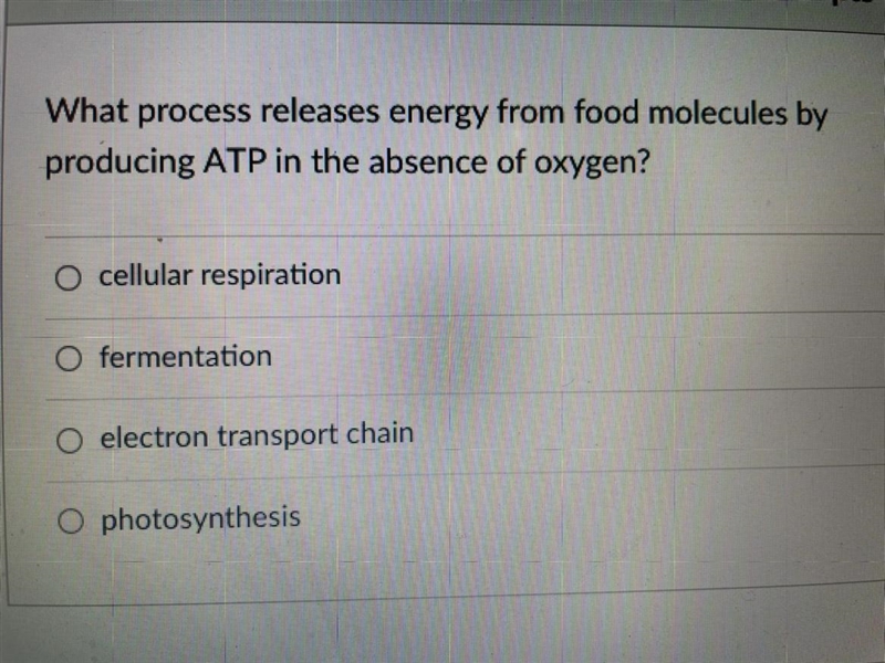 What process releases energy from food molecules by producing ATP in the absence of-example-1