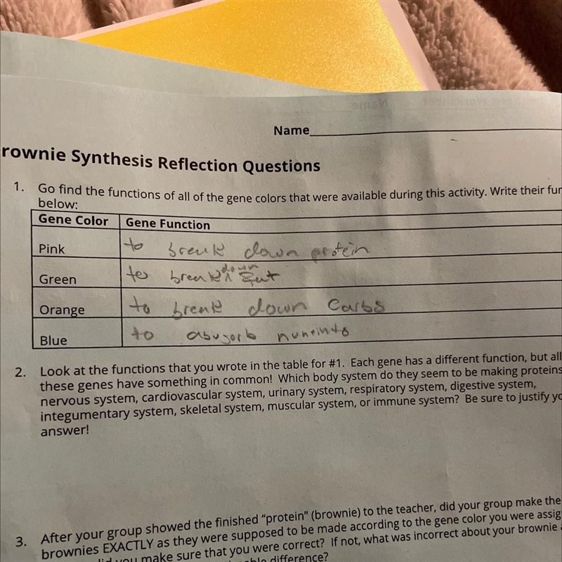 Look at the functions that you wrote in the table for #1. Each gene has a different-example-1