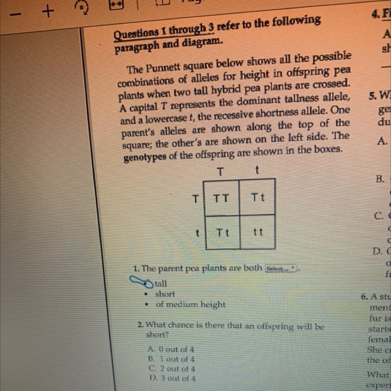 I need help with number three 3. If you wanted to grow only tall pea plants in your-example-1