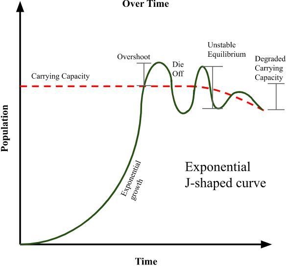 Thomas Malthus' most well known work An Essay on the Principle of Population was published-example-1