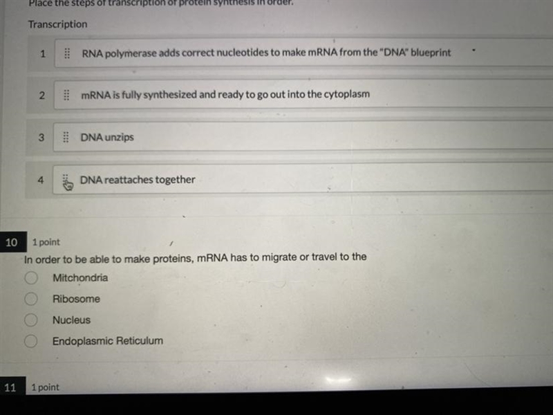 place the steps of transcription of protein synthesis in order then use that to help-example-1