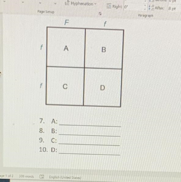 What does each letter represent in the punnet square-example-1