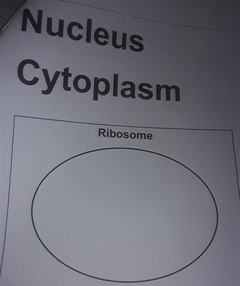 Plz help me draw things that are found inside the ribosome such as nucleus, cytoplasm-example-1