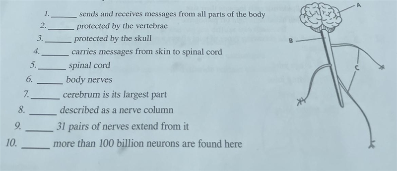 Need help with home work please Question:Write the correct letter to identify the-example-1