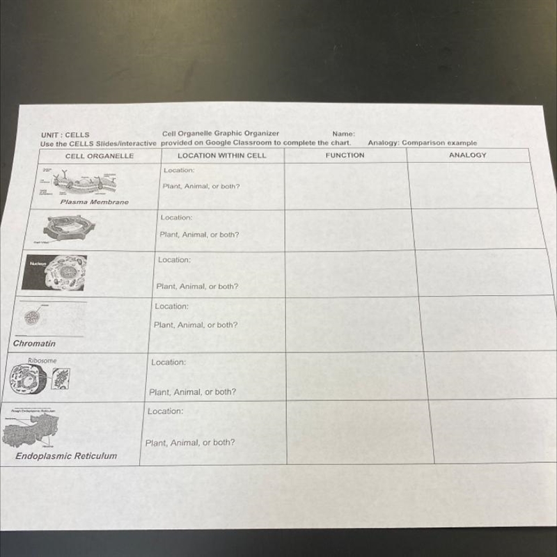 Indicate the location and function of the plasma membrane, as well as an analogy of-example-1