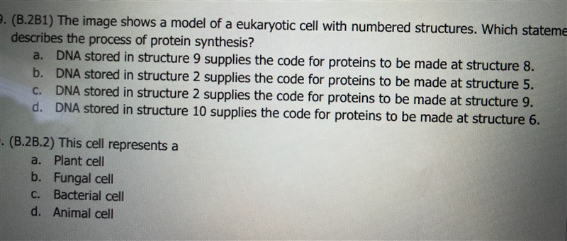 The image shows a model of a eukaryotic cell with numbered structures. Which statement-example-3