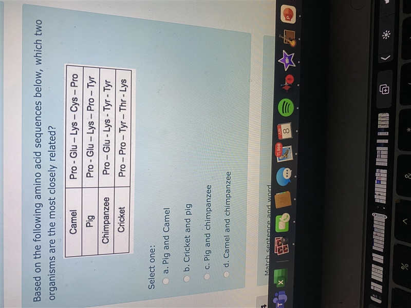 Based on the following amino acid sequences below, which two organisms are the most-example-1