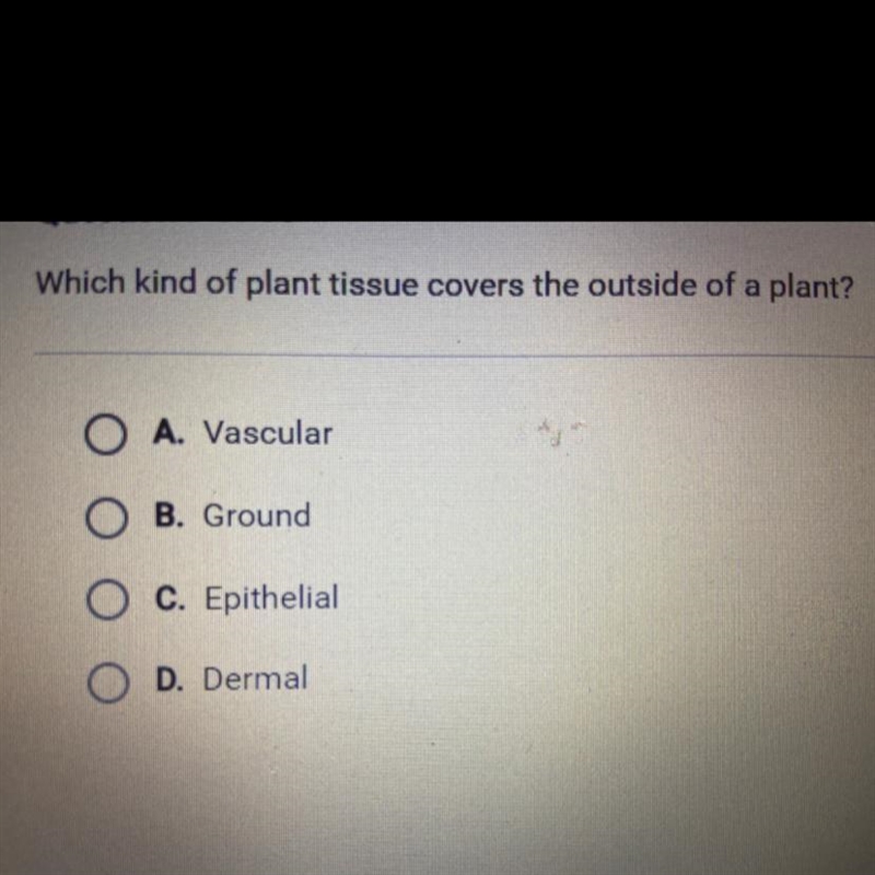 Which kind of plant tissue covers the outside of a plant?-example-1