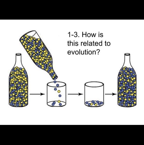 1-3. How is this related to evolution?-example-1