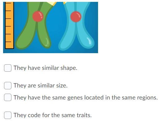 I need the answer ASAP-example-2